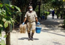 El Zoológico de Barranquilla participa en sesión del Concejo de Barranquilla