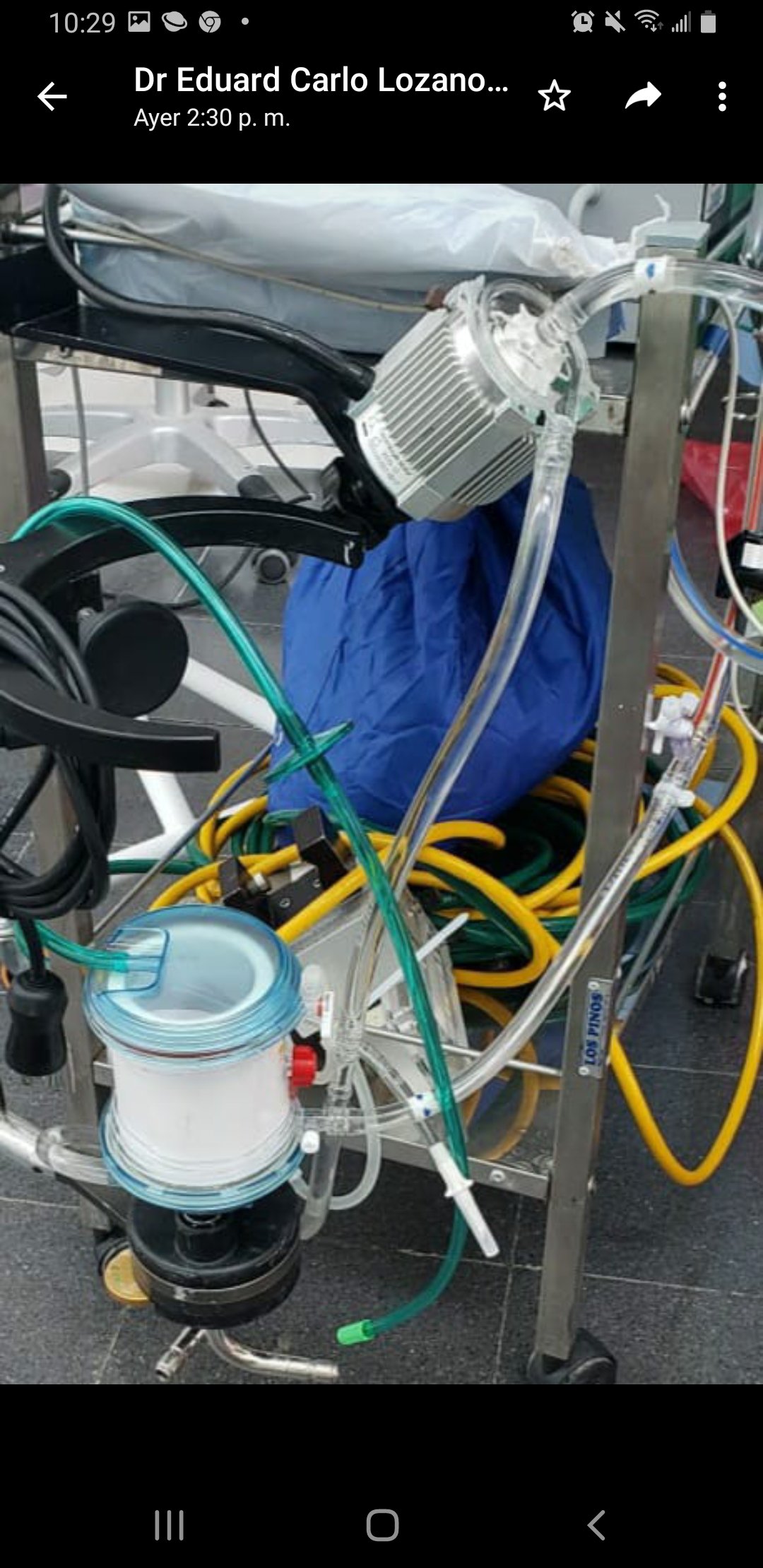 Screenshot_20210214-102920_WhatsApp