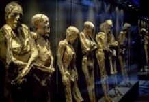 «Negligencia negocio malicia indigena»:en Colombia ya han ‘vacunado’ a unas 300 personas de más de 120 años