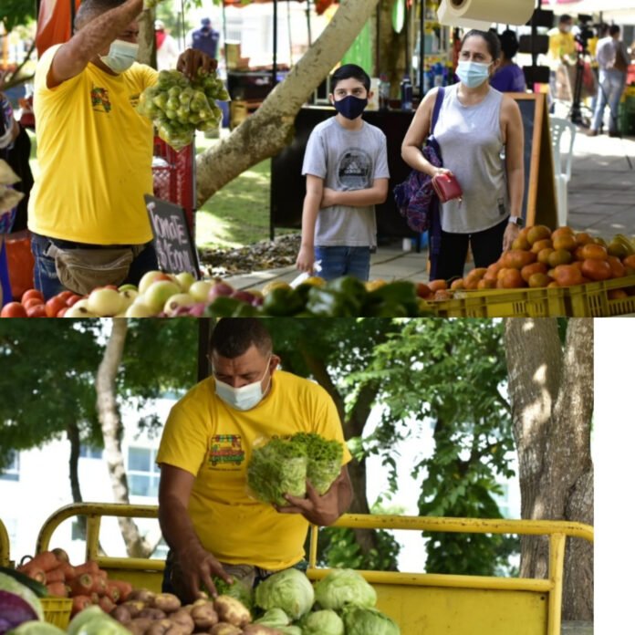 InShot_20210723_163239848