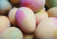 Alcaldía de Barranquilla fortalece su apuesta por la seguridad alimentaria con A Tu Barrio Mercado