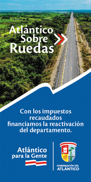 300×600-ImpuestoVehicular-Feb2022