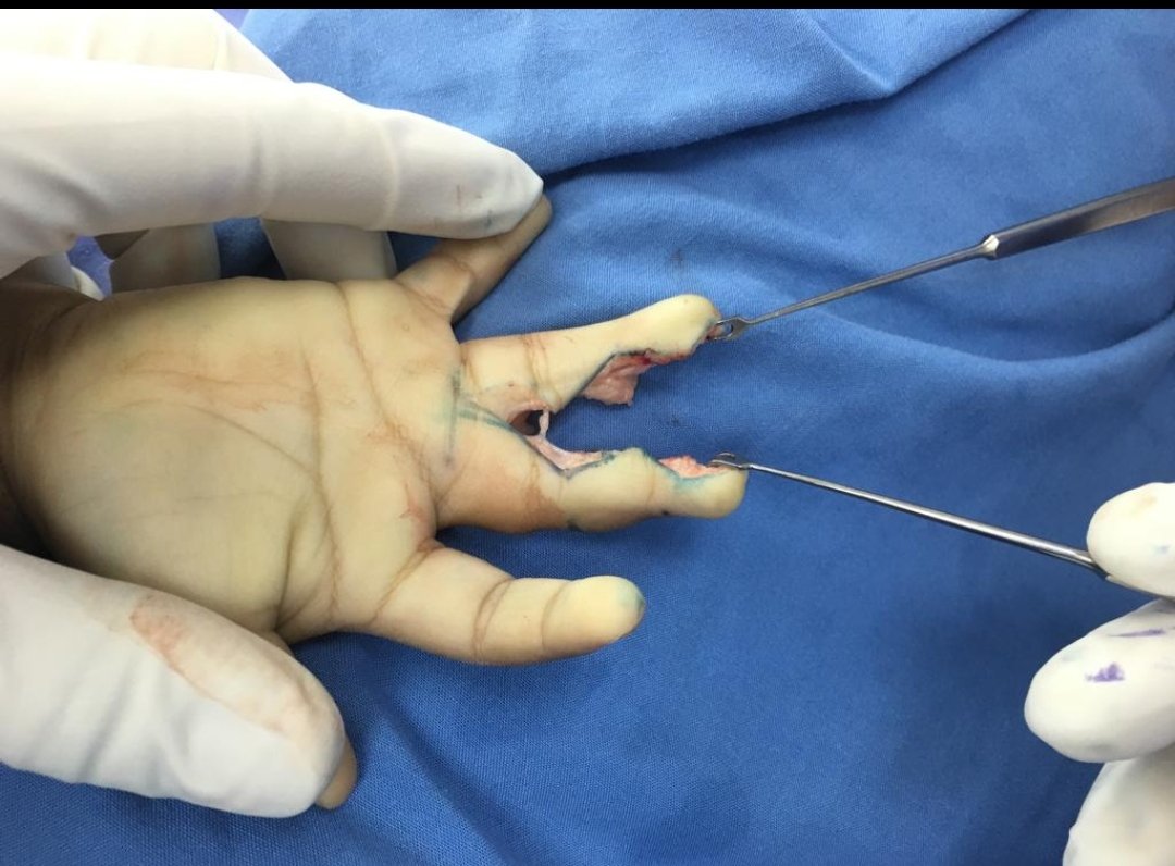 Screenshot_2022-12-10-10-50-55-196-edit_com.whatsapp