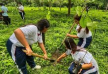 Barranquilla, entre las 5 ciudades del mundo que promueven la agricultura urbana