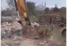 Disputa de tierras: posesión otorgada sin fallo judicial desata controversia