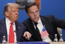 El servilismo de Rutte con Trump que avergüenza Europa: la historia de sumisión del secretario de la OTAN con el presidente americano