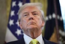 NYT: Trump autoriza la fuerza militar contra cárteles de la droga latinoamericanos