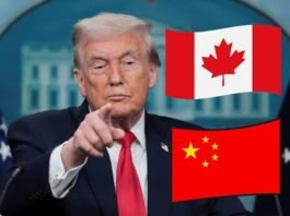 Ultimátum de Trump: revela con qué «golpeará inmediatamente» a Canadá si trata con China
