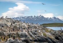 Día Internacional de la Madre Tierra 2026: las maravillas naturales guiarán los planes de viaje del 60% de los viajeros este año