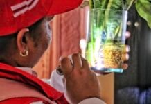 Gobernación del Atlántico intensifica acciones contra el dengue
