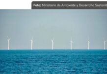 Proyectos de energía eólica costa afuera ya cuentan, por primera vez, con términos ambientales