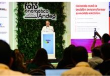 Descentralizar las decisiones del sistema energético propone el gobernador del Atlántico, Eduardo Verano