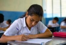 ¿Cómo transitan los bachilleres hacia la educación superior? OECC ofrece nuevas respuestas