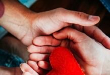 Más de 1.000 pacientes han recibido un trasplante en los últimos 4 años, una nueva oportunidad de vida